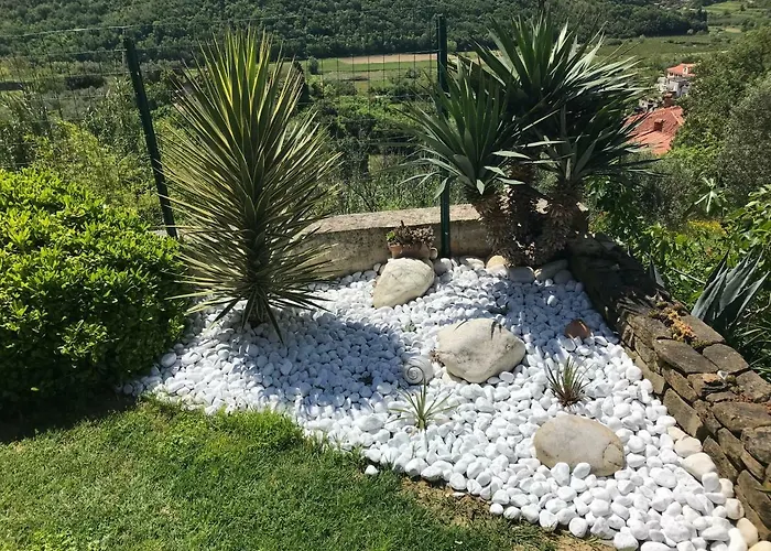 Krt Mirko * 이졸라