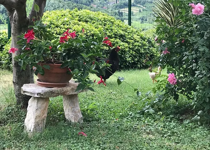 아파트 Krt Mirko *