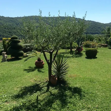 Krt Mirko Apartamento *