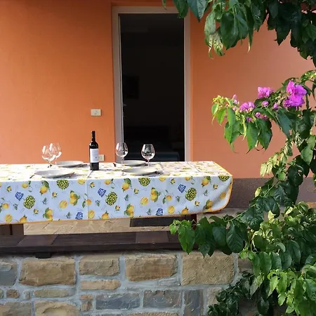 Krt Mirko * Izola